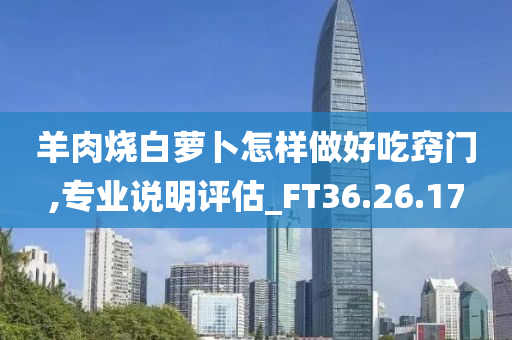 羊肉烧白萝卜怎样做好吃窍门,专业说明评估_FT36.26.17