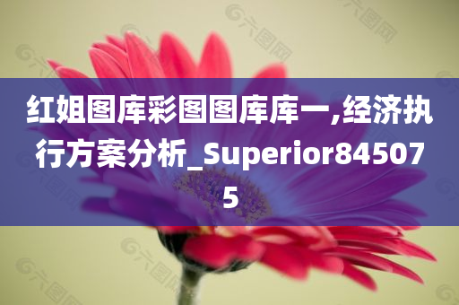 红姐图库彩图图库库一,经济执行方案分析_Superior845075