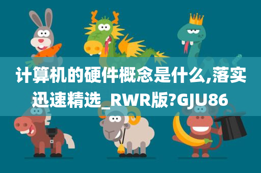 计算机的硬件概念是什么,落实迅速精选_RWR版?GJU86