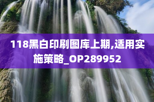 118黑白印刷图库上期,适用实施策略_OP289952