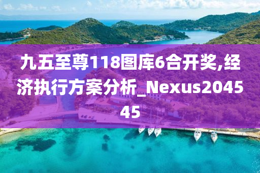 九五至尊118图库6合开奖,经济执行方案分析_Nexus204545