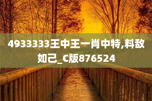 4933333王中王一肖中特,料敌如己_C版876524