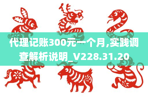 代理记账300元一个月,实践调查解析说明_V228.31.20