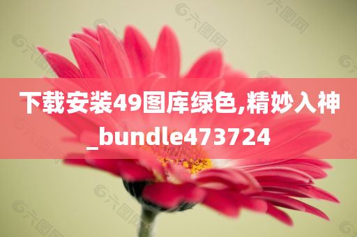 下载安装49图库绿色,精妙入神_bundle473724