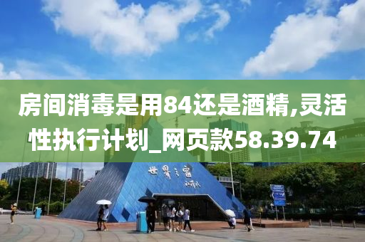 房间消毒是用84还是酒精,灵活性执行计划_网页款58.39.74