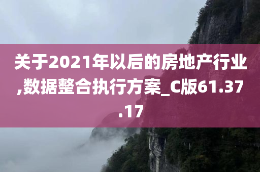 关于2021年以后的房地产行业,数据整合执行方案_C版61.37.17