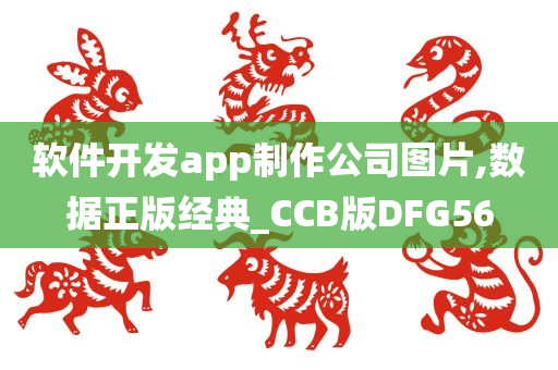 软件开发app制作公司图片,数据正版经典_CCB版DFG56