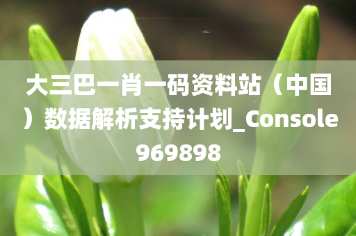 大三巴一肖一码资料站（中国）数据解析支持计划_Console969898