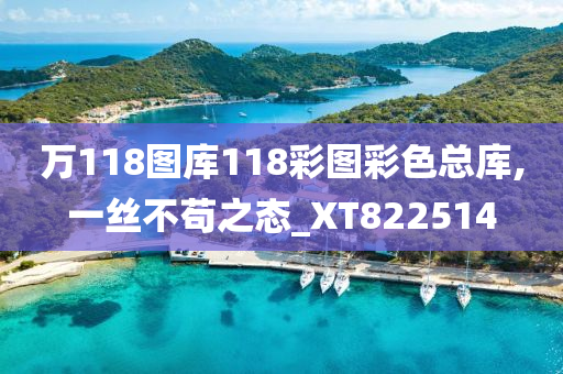 万118图库118彩图彩色总库,一丝不苟之态_XT822514