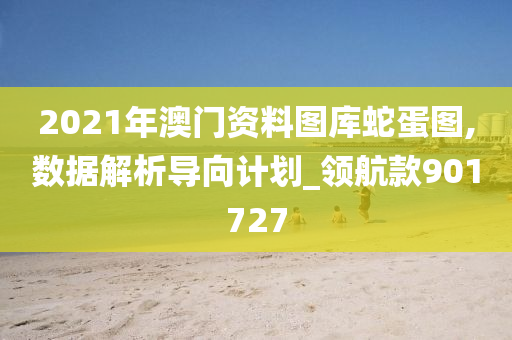 2021年澳门资料图库蛇蛋图,数据解析导向计划_领航款901727