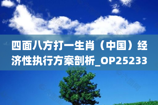 四面八方打一生肖（中国）经济性执行方案剖析_OP252330