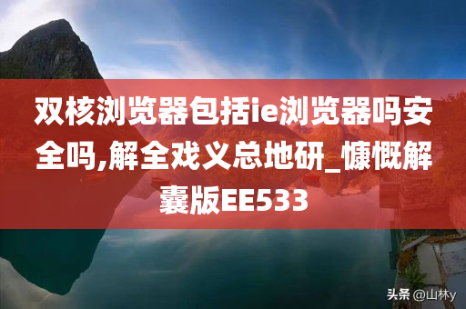 双核浏览器包括ie浏览器吗安全吗,解全戏义总地研_慷慨解囊版EE533