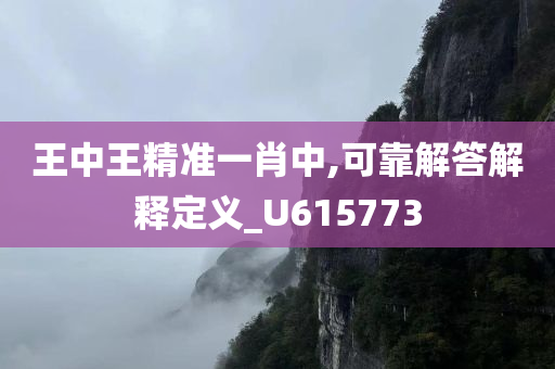 王中王精准一肖中,可靠解答解释定义_U615773