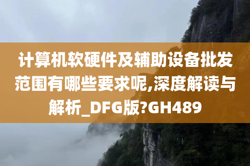 计算机软硬件及辅助设备批发范围有哪些要求呢,深度解读与解析_DFG版?GH489