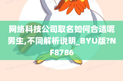 网络科技公司取名如何合适呢男生,不同解析说明_BYU版?NF8786