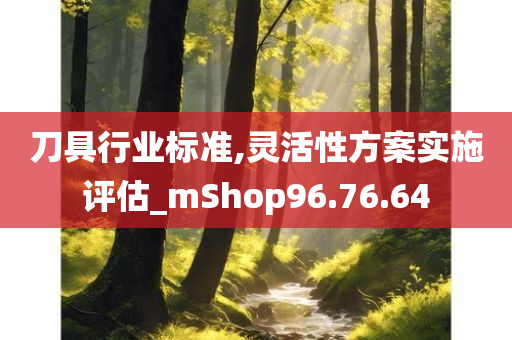 刀具行业标准,灵活性方案实施评估_mShop96.76.64