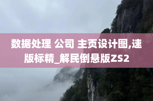 数据处理 公司 主页设计图,速版标精_解民倒悬版ZS2