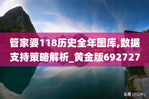 管家婆118历史全年图库,数据支持策略解析_黄金版692727