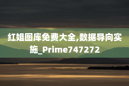 红姐图库免费大全,数据导向实施_Prime747272