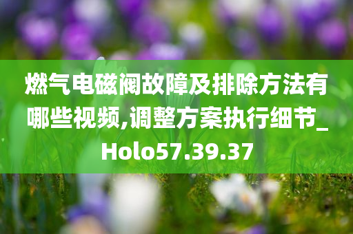 燃气电磁阀故障及排除方法有哪些视频,调整方案执行细节_Holo57.39.37