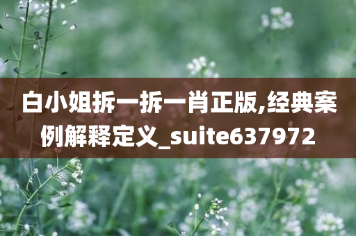 白小姐拆一拆一肖正版,经典案例解释定义_suite637972