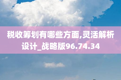 税收筹划有哪些方面,灵活解析设计_战略版96.74.34