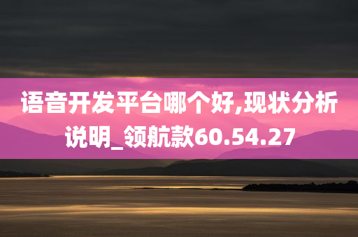 语音开发平台哪个好,现状分析说明_领航款60.54.27