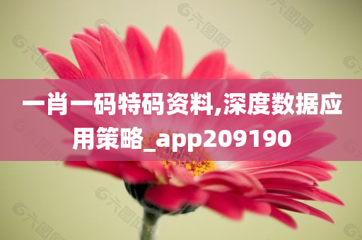 一肖一码特码资料,深度数据应用策略_app209190