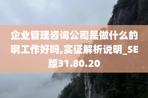 企业管理咨询公司是做什么的啊工作好吗,实证解析说明_SE版31.80.20