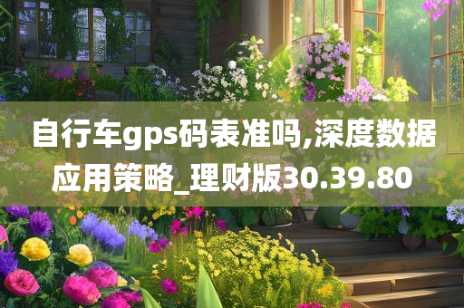 自行车gps码表准吗,深度数据应用策略_理财版30.39.80