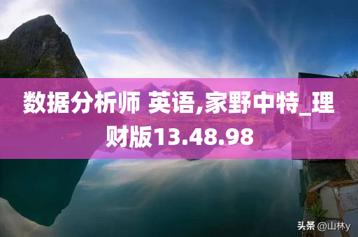 数据分析师 英语,家野中特_理财版13.48.98