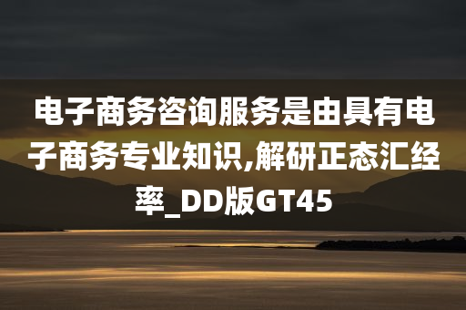 电子商务咨询服务是由具有电子商务专业知识,解研正态汇经率_DD版GT45