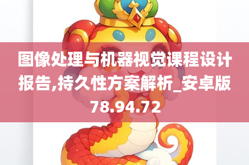 图像处理与机器视觉课程设计报告,持久性方案解析_安卓版78.94.72