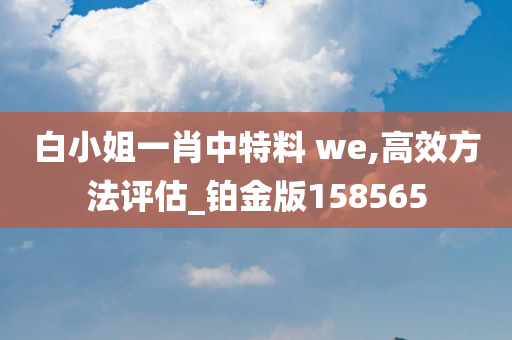 白小姐一肖中特料 we,高效方法评估_铂金版158565