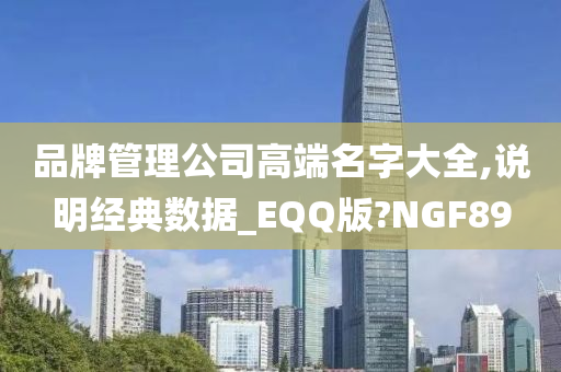 品牌管理公司高端名字大全,说明经典数据_EQQ版?NGF89