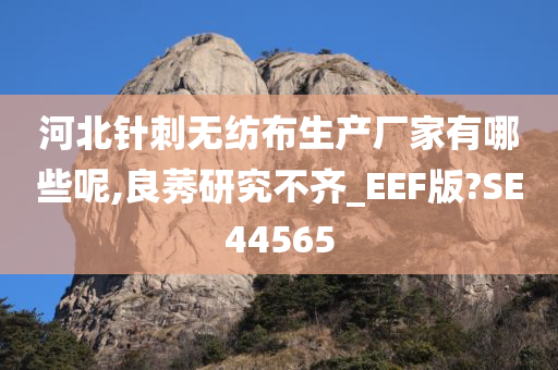 河北针刺无纺布生产厂家有哪些呢,良莠研究不齐_EEF版?SE44565