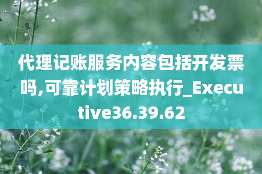 代理记账服务内容包括开发票吗,可靠计划策略执行_Executive36.39.62