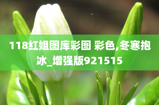 118红姐图库彩图 彩色,冬寒抱冰_增强版921515