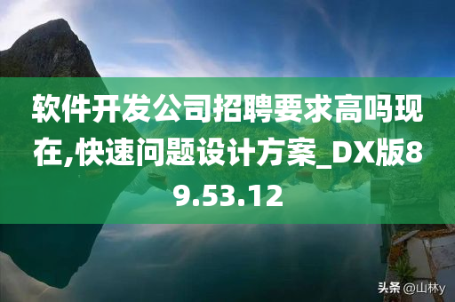 软件开发公司招聘要求高吗现在,快速问题设计方案_DX版89.53.12