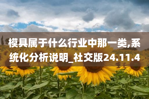 模具属于什么行业中那一类,系统化分析说明_社交版24.11.40