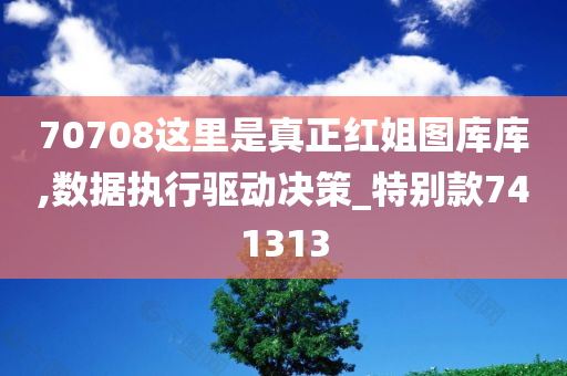 70708这里是真正红姐图库库,数据执行驱动决策_特别款741313