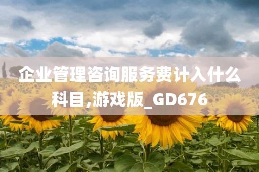 企业管理咨询服务费计入什么科目,游戏版_GD676