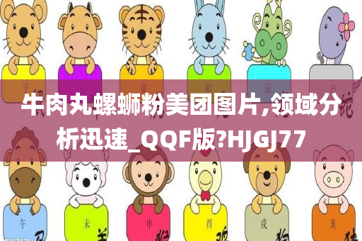 牛肉丸螺蛳粉美团图片,领域分析迅速_QQF版?HJGJ77