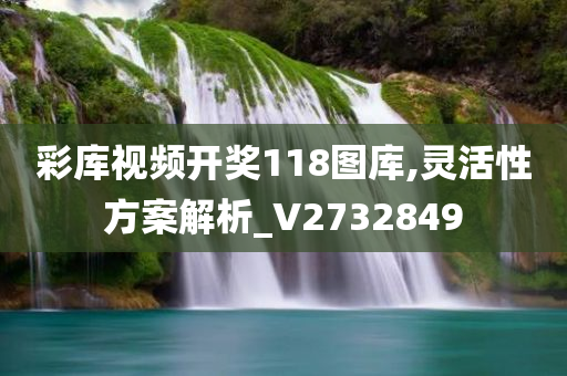 彩库视频开奖118图库,灵活性方案解析_V2732849