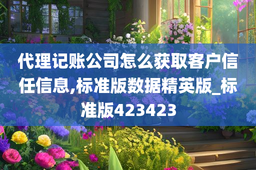 代理记账公司怎么获取客户信任信息,标准版数据精英版_标准版423423