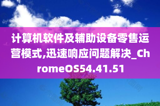 计算机软件及辅助设备零售运营模式,迅速响应问题解决_ChromeOS54.41.51