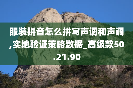 服装拼音怎么拼写声调和声调,实地验证策略数据_高级款50.21.90