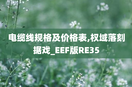 电缆线规格及价格表,权域落刻据戏_EEF版RE35