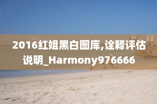 2016红姐黑白图库,诠释评估说明_Harmony976666