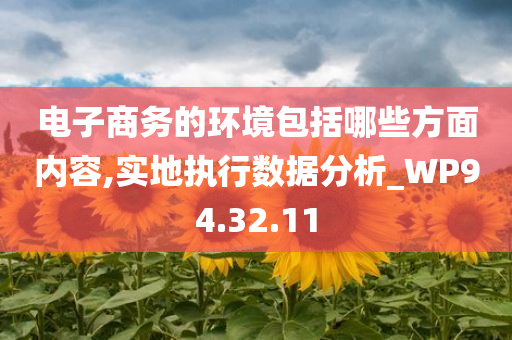 电子商务的环境包括哪些方面内容,实地执行数据分析_WP94.32.11